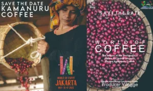 Kopi Kamanuru: Dari Lereng Dombu ke Panggung Dunia