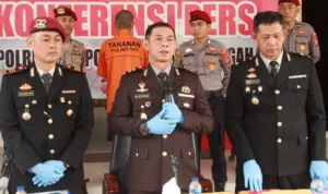 Tragedi di Balamoa, Perselisihan Keluarga yang Berujung Maut