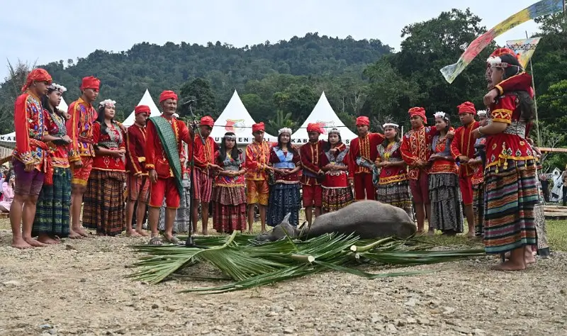 Tari Raego mengawali ritual Mentimbe. (bmzIMAGES/basri marzuki)