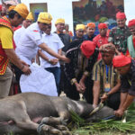 Gubernur Sulteng Anwar Hafid (tengah) memegang lengan tetua adat ayang akan menyembelih kerbau pada upacara adat Mentimbe dalam rangkaian Festival Danau Lindu 2025 di Desa Tomado, Lindu, Sigi, Sulteng, Jumat (18/7/2025). (bmzIMAGES/basri marzuki)