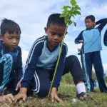 Pelajar dari tingkatan SD, SMP dan SMA turunlangsung menanam pohon. (©bmzIMAGES/basri marzuki)